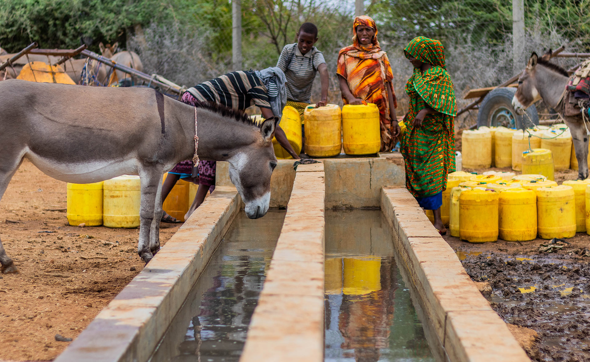A water trough reduces water wastage