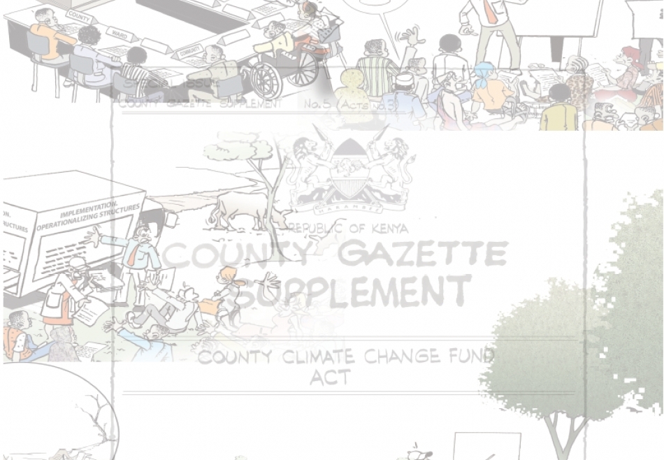 CCCF guidelines 2020