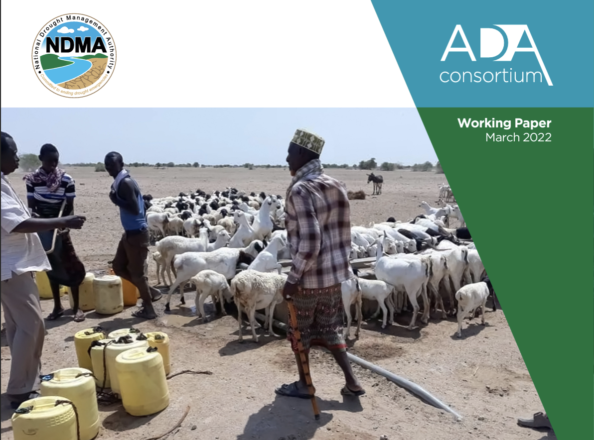 Improving the functionality of water investments in the drylands
