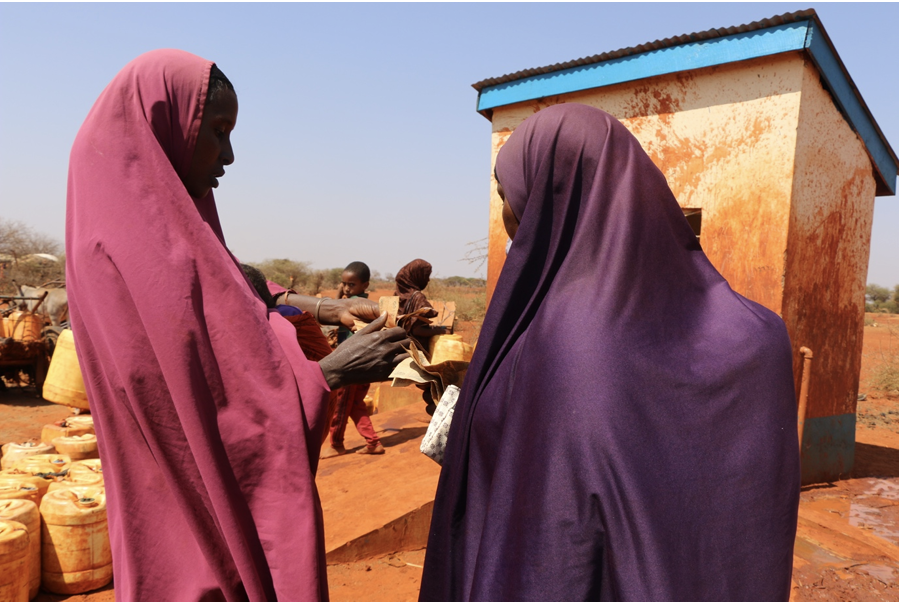 Strengthening the governance of Devolved Climate Finance through social accountability