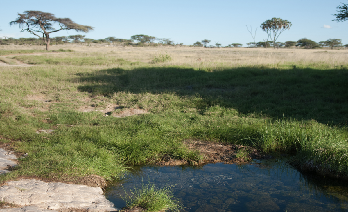 Securing community land rights in Kenya ASALS: Available legal options