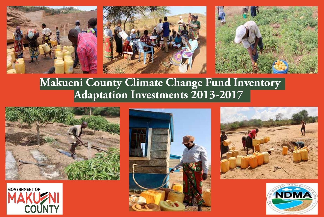 Makueni CCCF Inventory