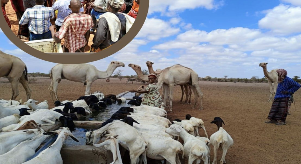 Strengthening CDE for Effective Climate Risk Management