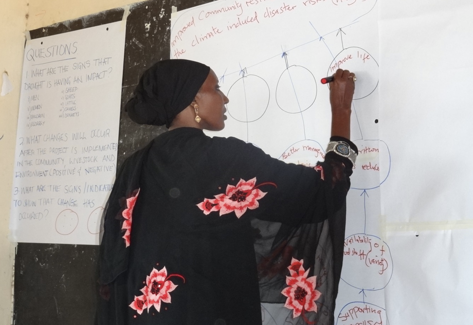 Lessons learnt: tracking adaptation and measuring development
