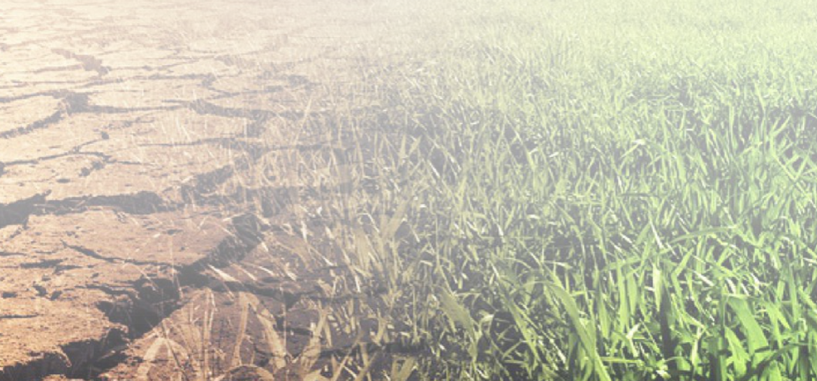 A climate risk management framework for Kenya: Integrating disaster risk reduction and climate change adaptation at national and county levels