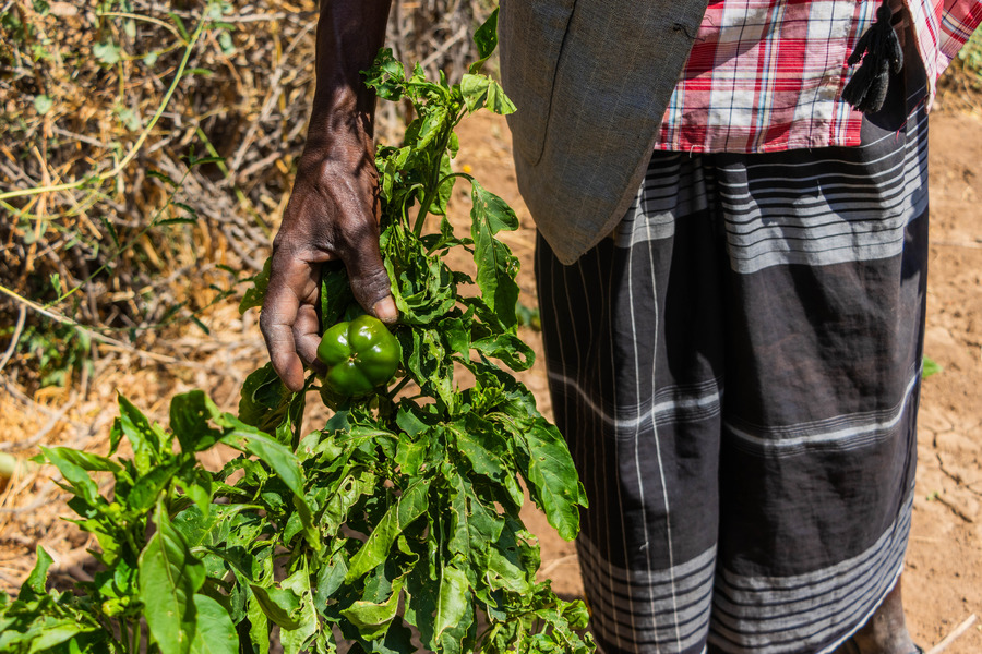 Abdi Gaamey Borehole, Wajir County