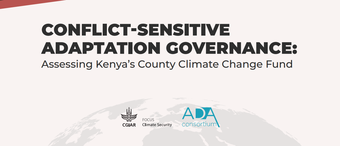 Conflict-Sensitive Adaptation Governance